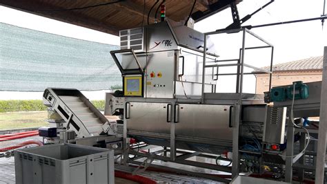 grape sorting machines|Grape sorting machine Dionysos by Raytec Vision : discover more!.